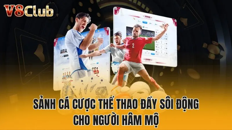 Sảnh cá cược thể thao đầy sôi động cho người hâm mộ
